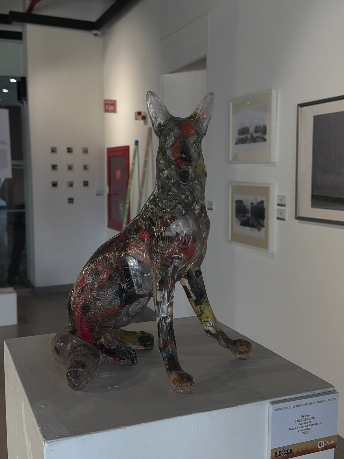 Contemporary art exhibition documented featuring mixed-media sculptures and photography
