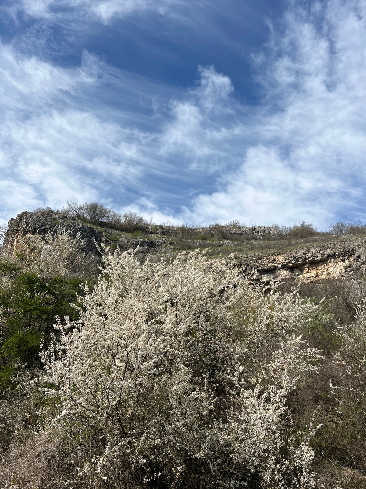 Spring day captured near Gortalovo cliffs and wildflower fields