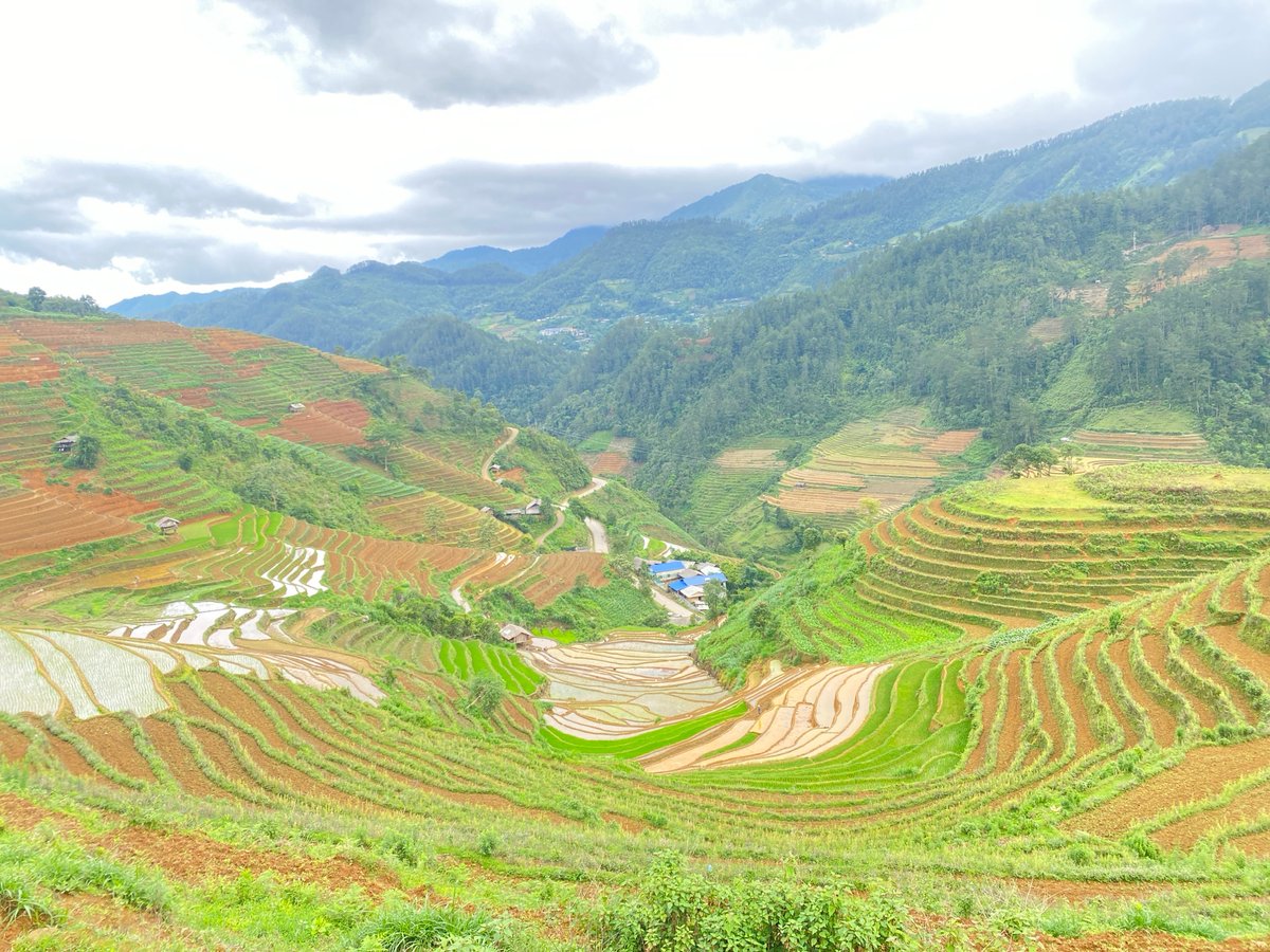 Terraced rice fields documented under overcast skies in rural Vietnam