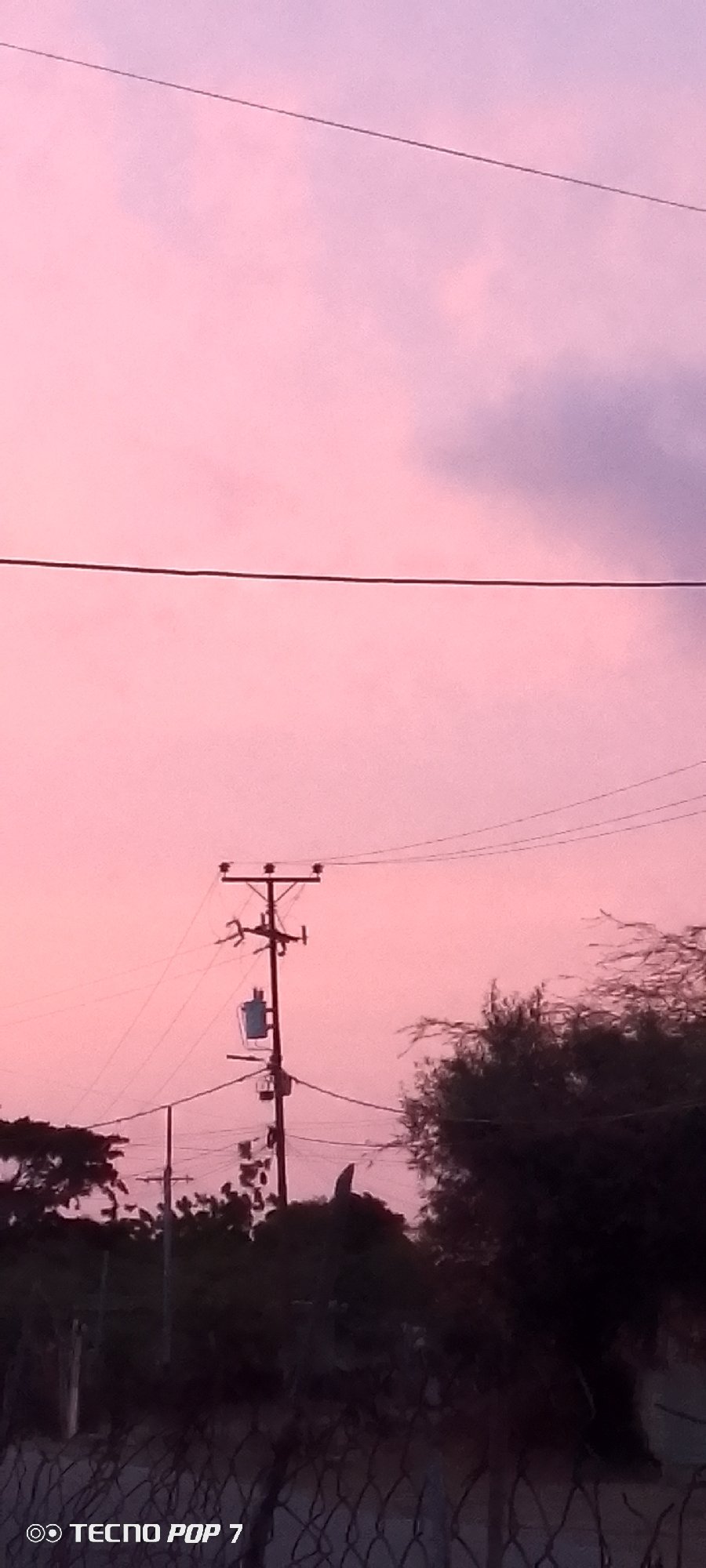 Twilight settles over Altagracia, one deer sighting included