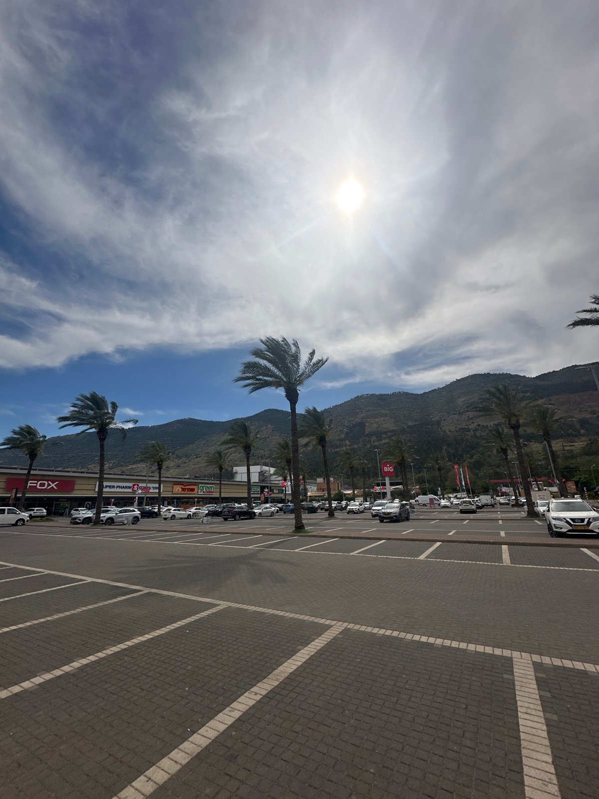Parking lot with cars, palm trees observed in northern Israel