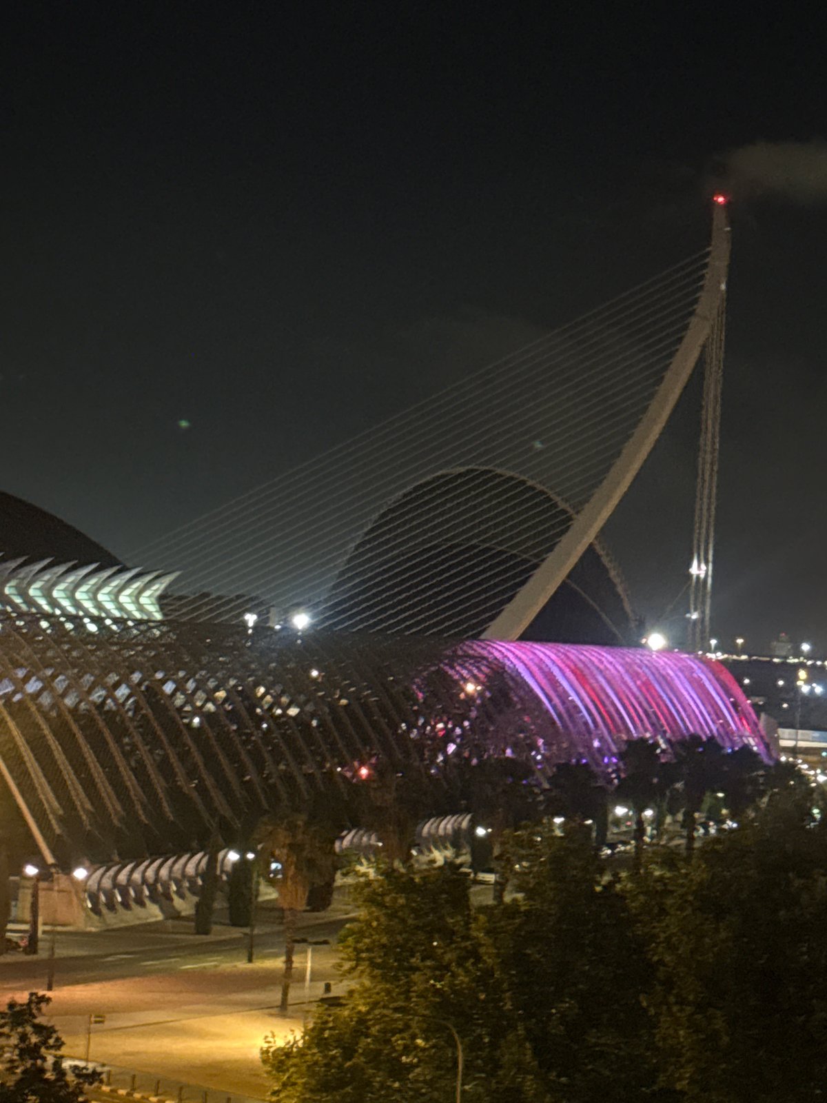 Midnight at Valencia's City of Arts and Sciences