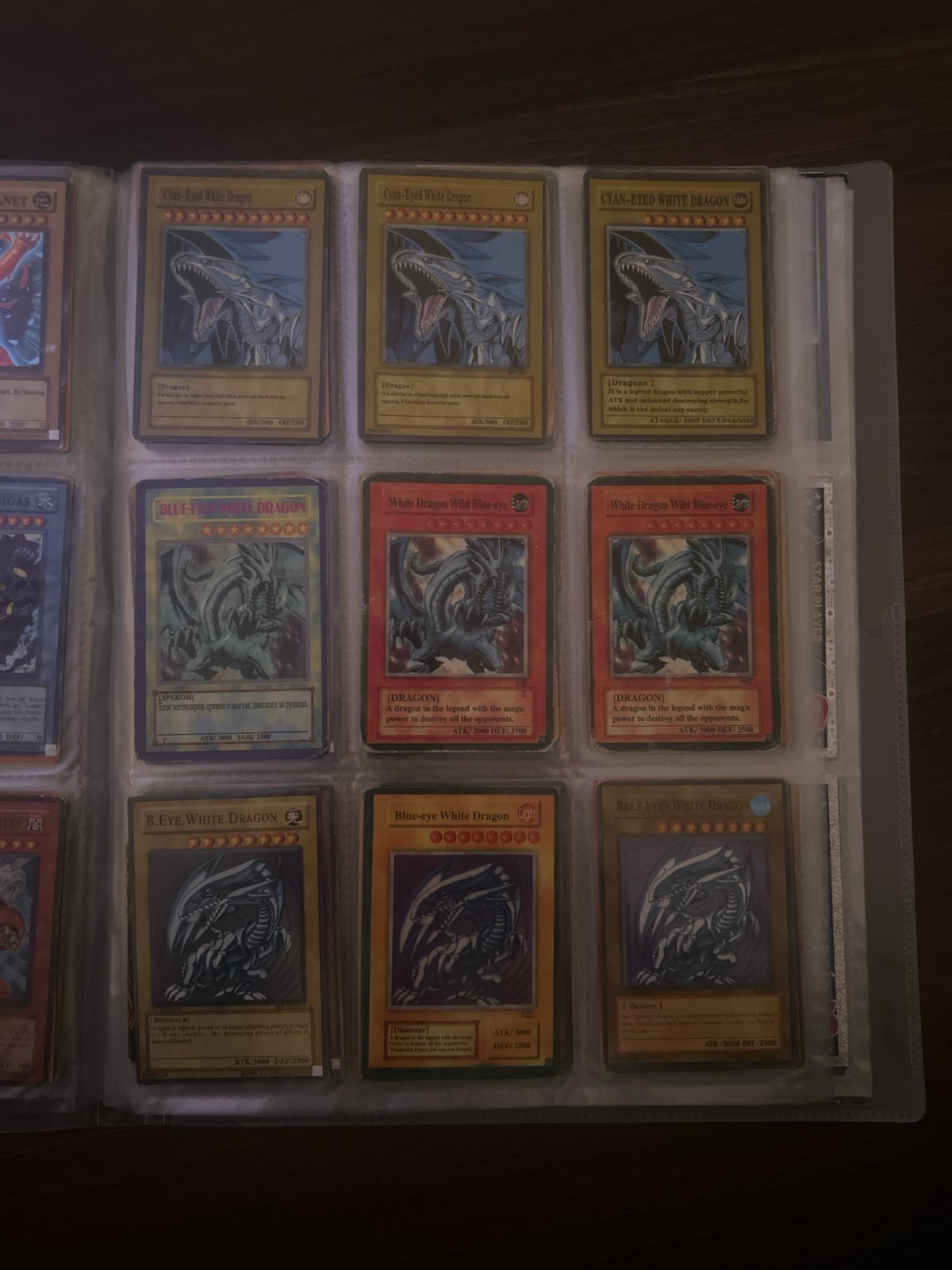 Trading card collector organizes Yu-Gi-Oh! deck in Pleven, Bulgaria