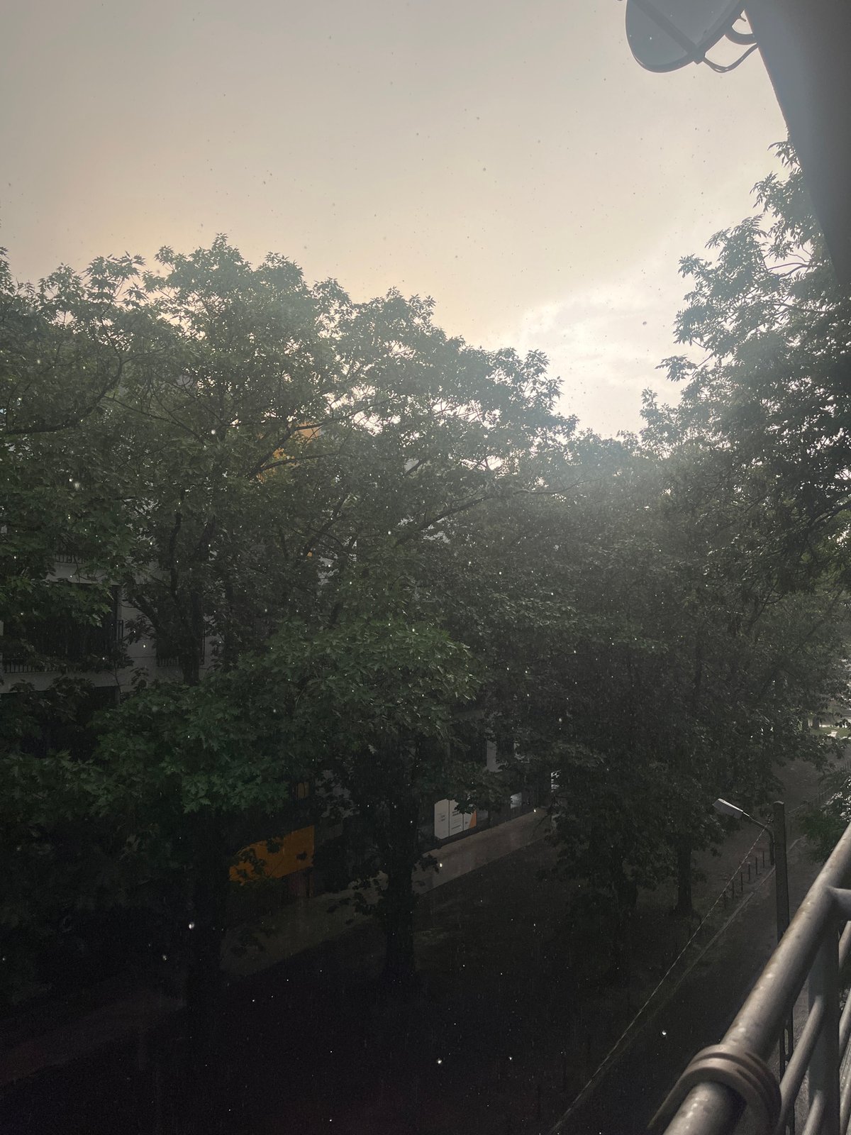 Rainy balcony views and a rabbit snacking indoors in Łódź
