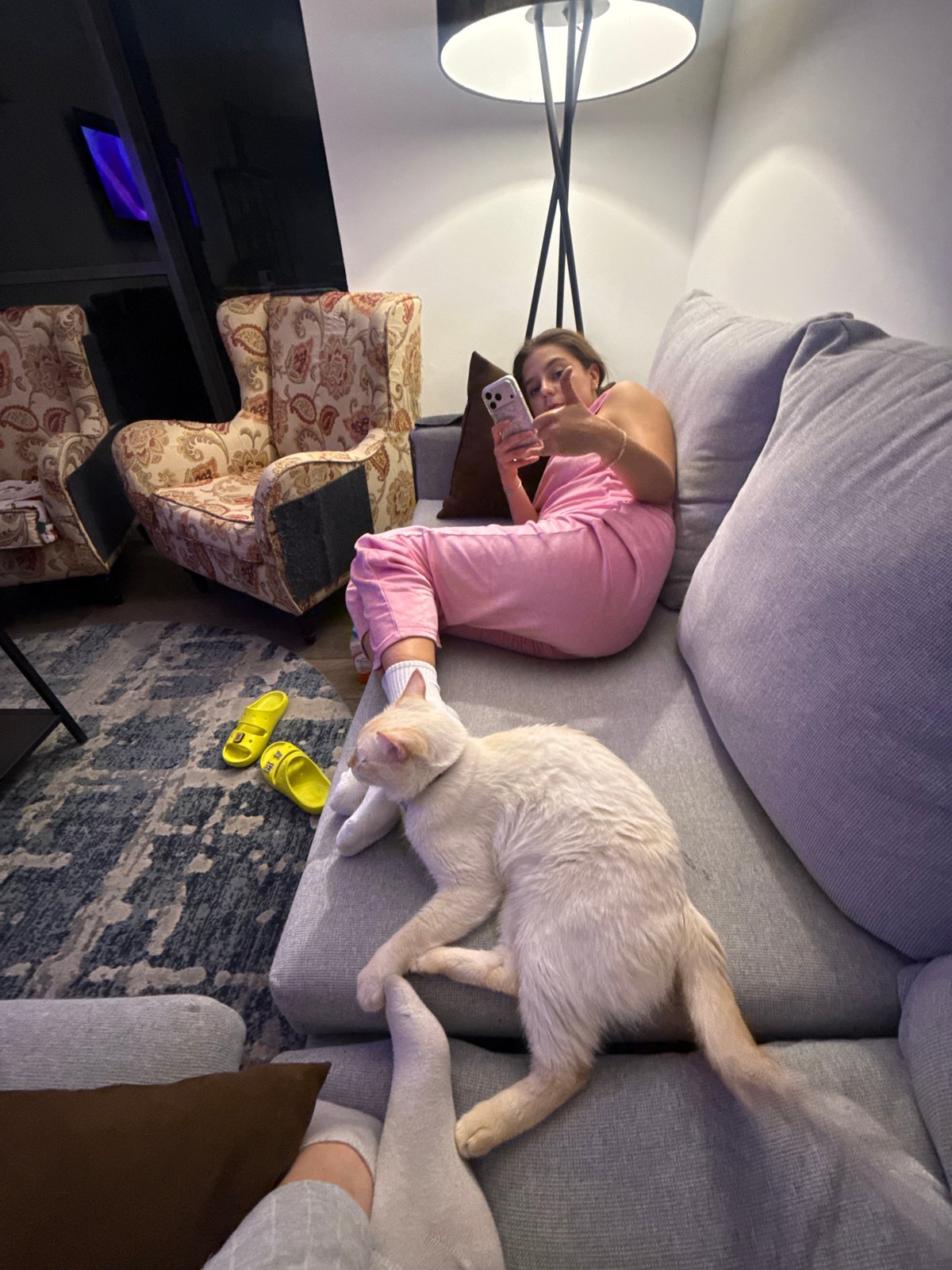 Woman enjoys quiet morning with cats in Mexico City home