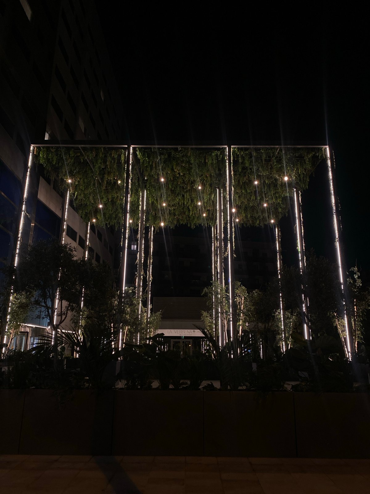 Barcelona commercial area features illuminated landscaping at night