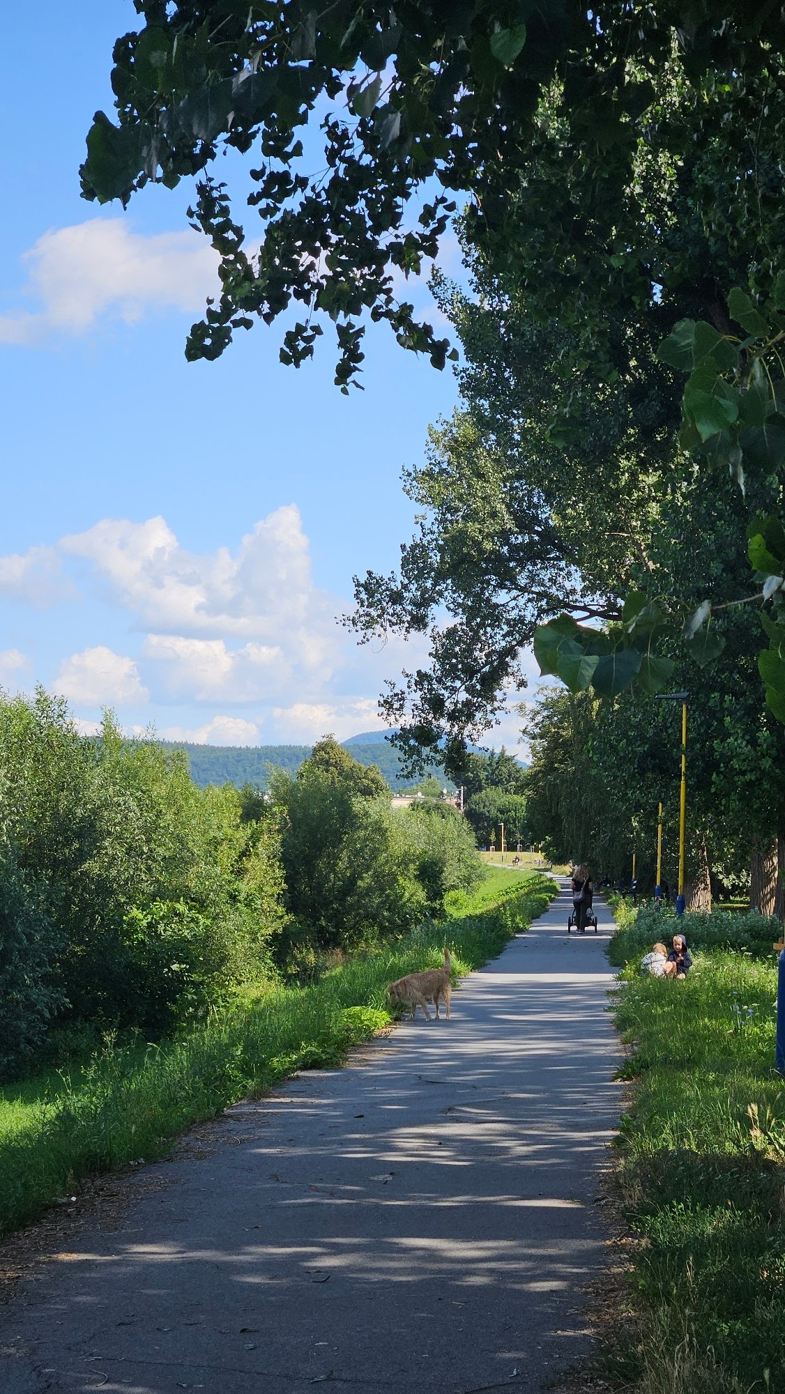 Summer morning stroll through Prešov parks and streets