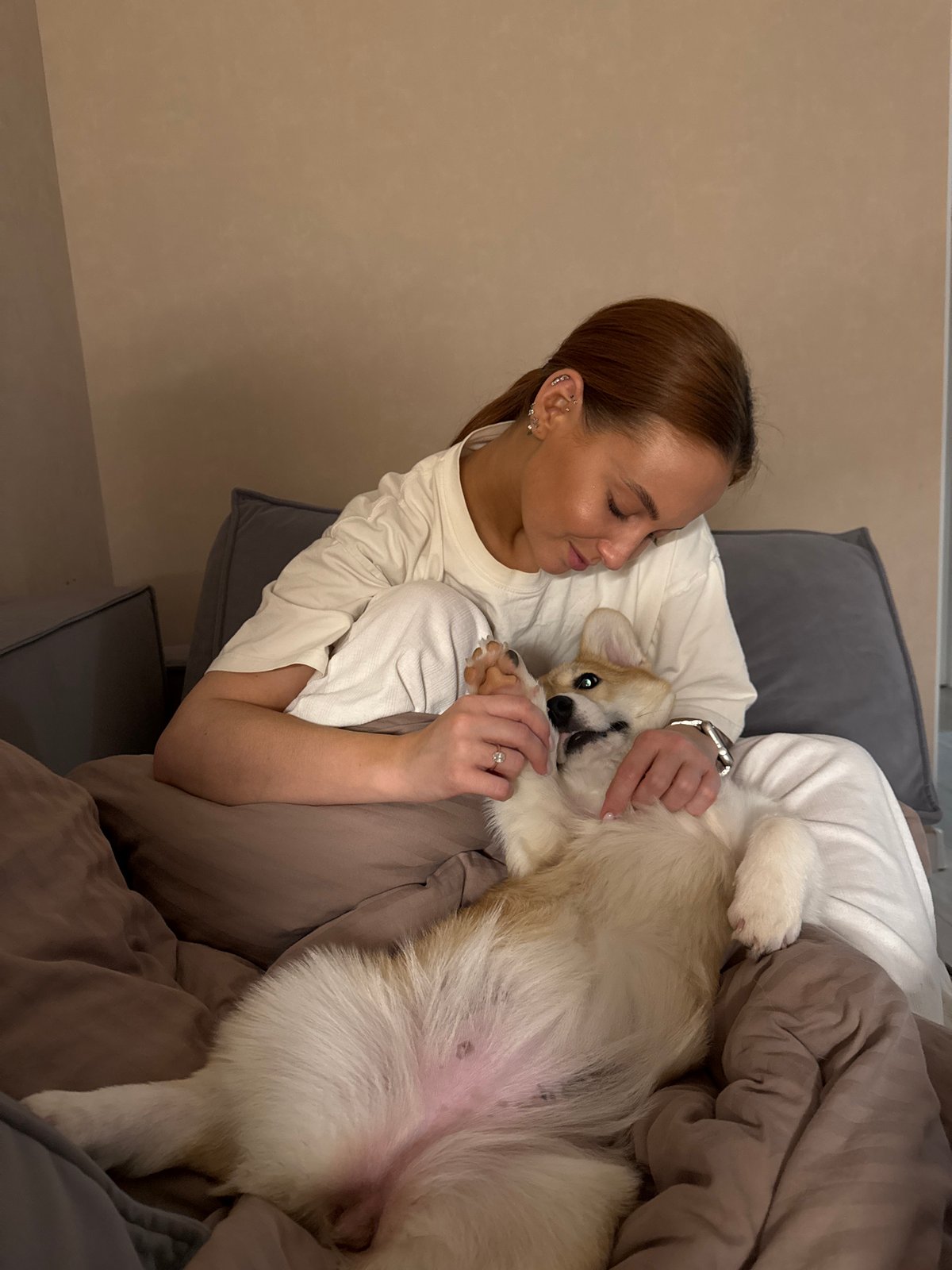 Corgi dog captured in playful indoor moments in Chaikovsky