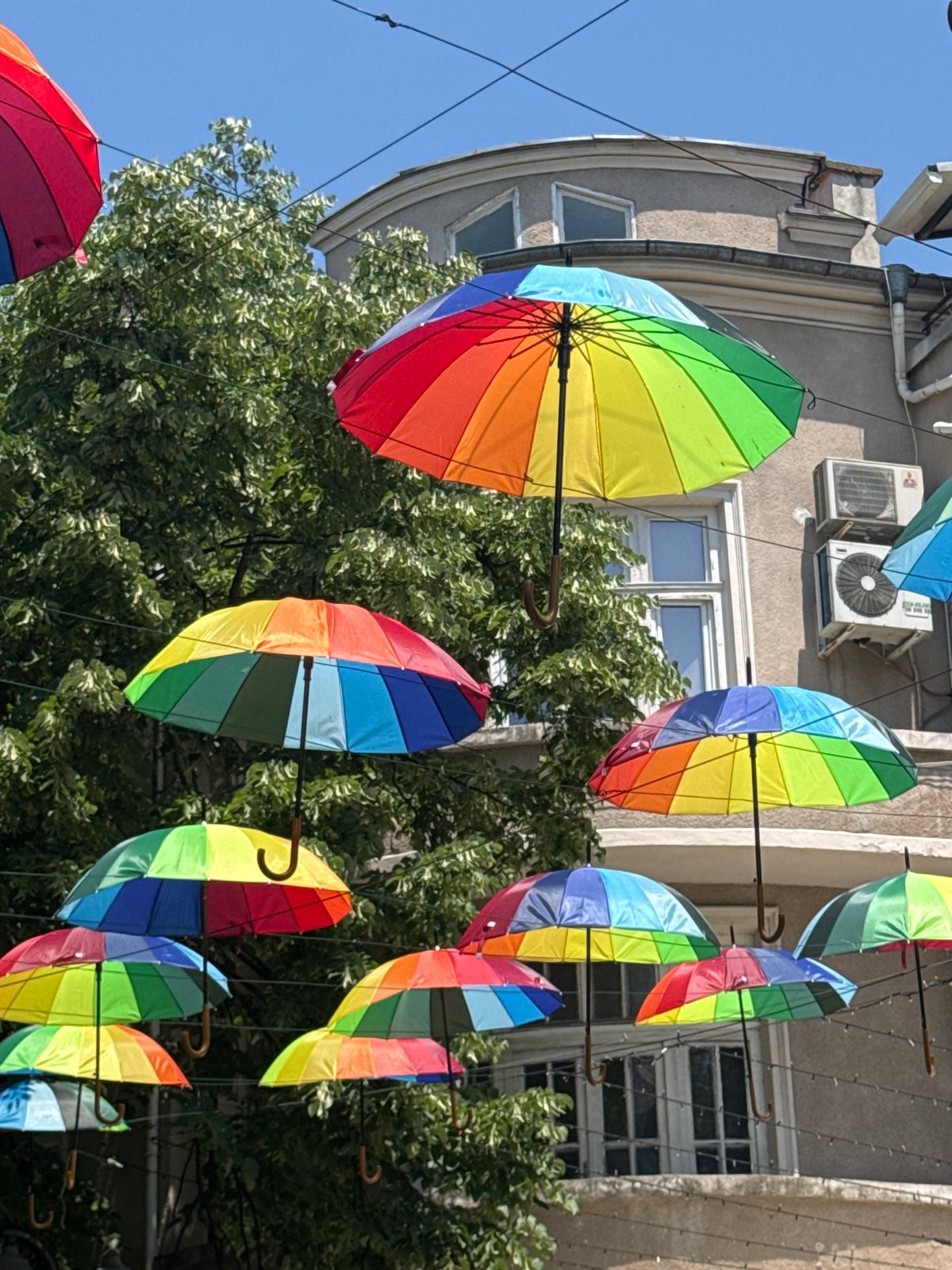 Morning scenes documented across Burgas: umbrellas, pets, memorabilia