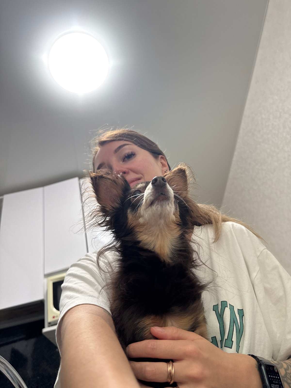 Pet cuddles and forest selfies in Chaikovsky, Russia