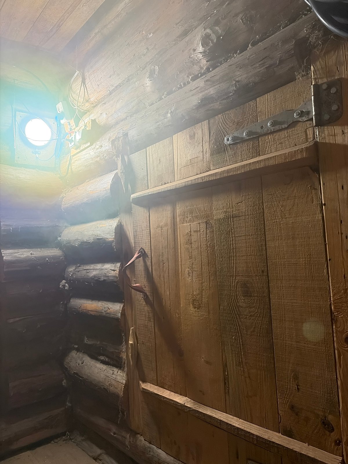 Spring day activities documented in Кемуль Russia sauna grilling cycling