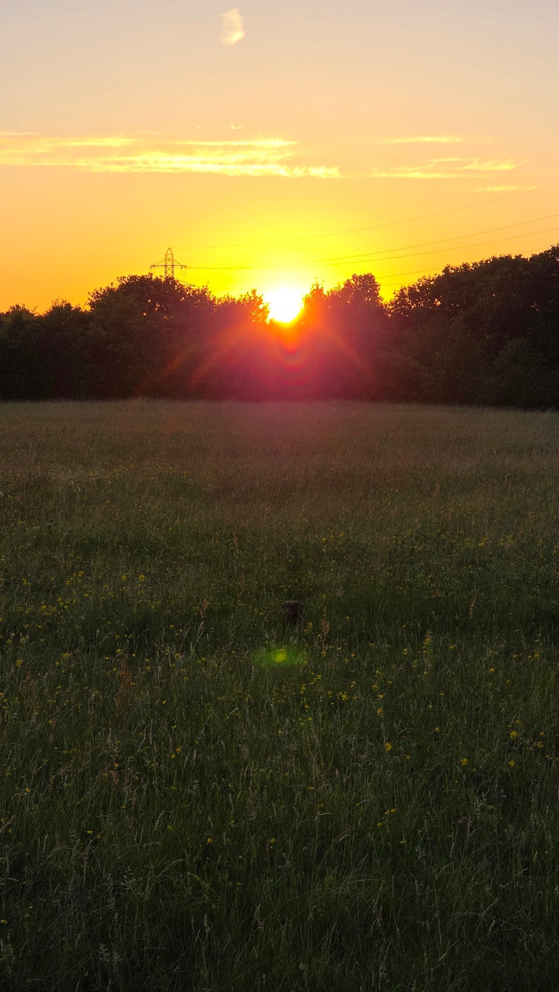 Sunset to moonrise, with a snake sighting along the way