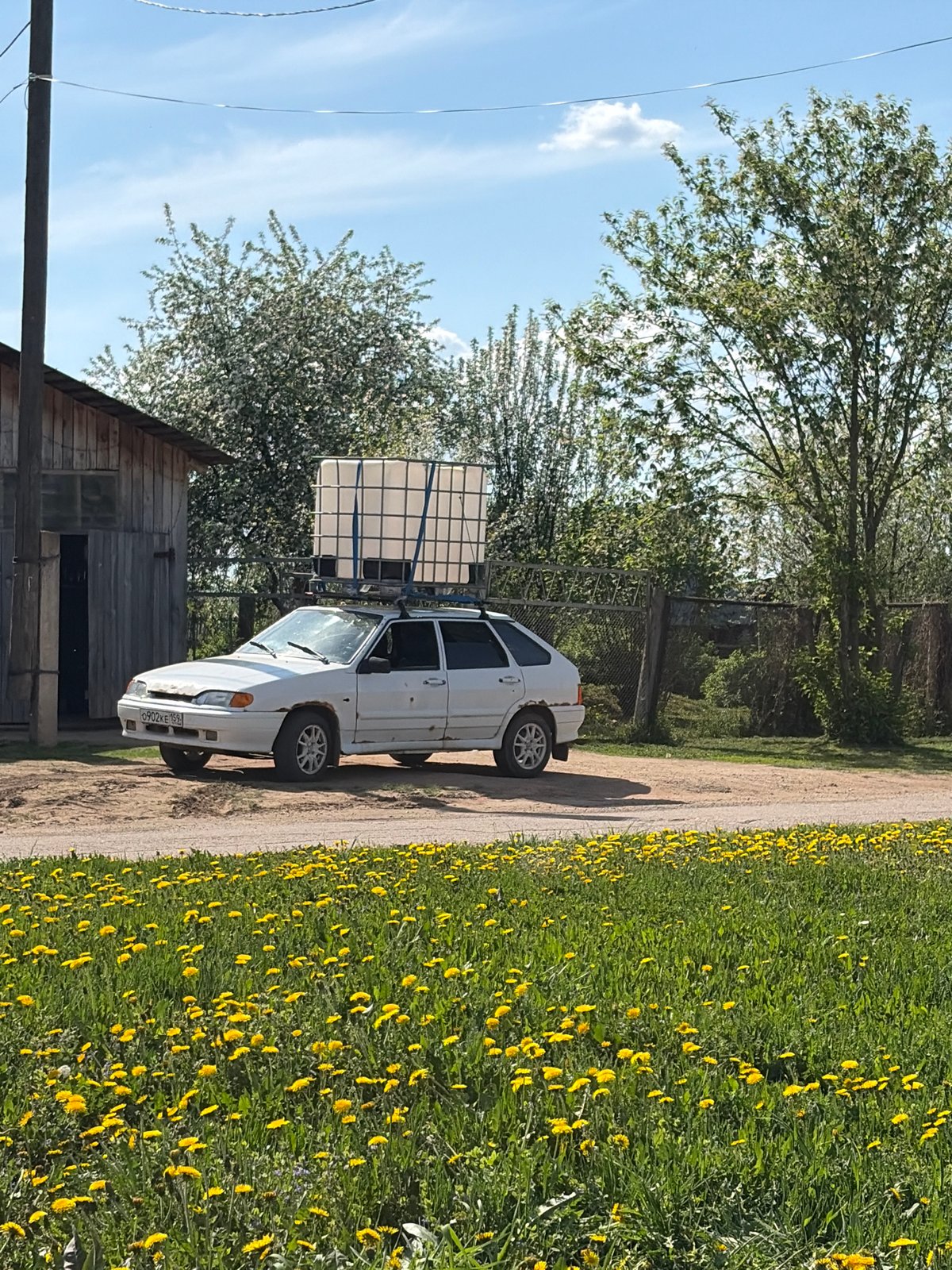 Spring photography session captured in Russian wildflower fields