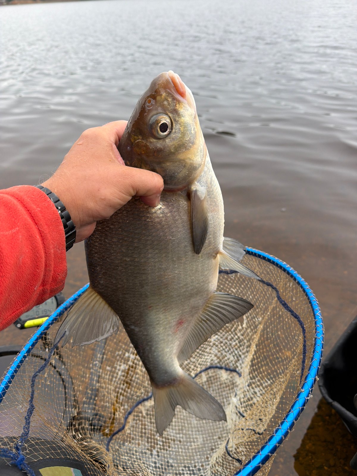 Fishing on a cloudy morning in Chaikovsky, with everyday moments mixed in
