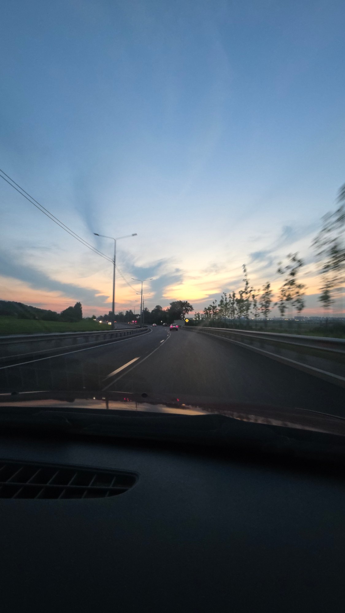 Dusk snapshots: highway, a startled close-up, and a quiet treeline