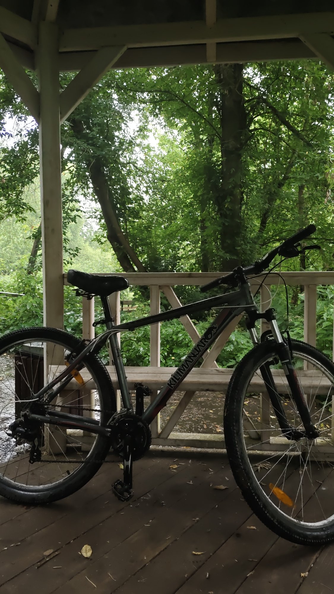 Bicycle parked at a forest gazebo in Podosinki, Russia