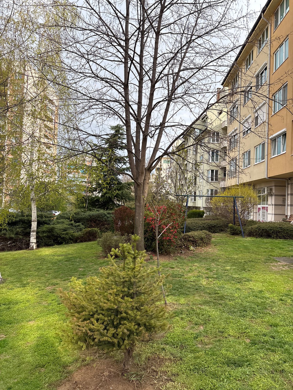 Construction activity documented in Sofia residential area
