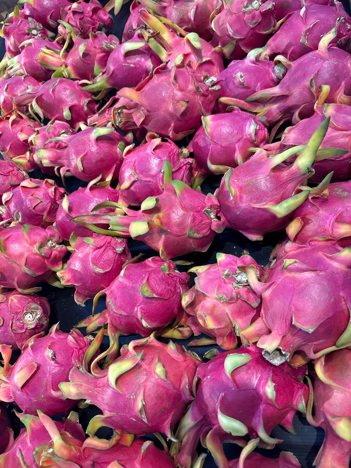 Tropical fruit market display captured in Ko Samui, Thailand