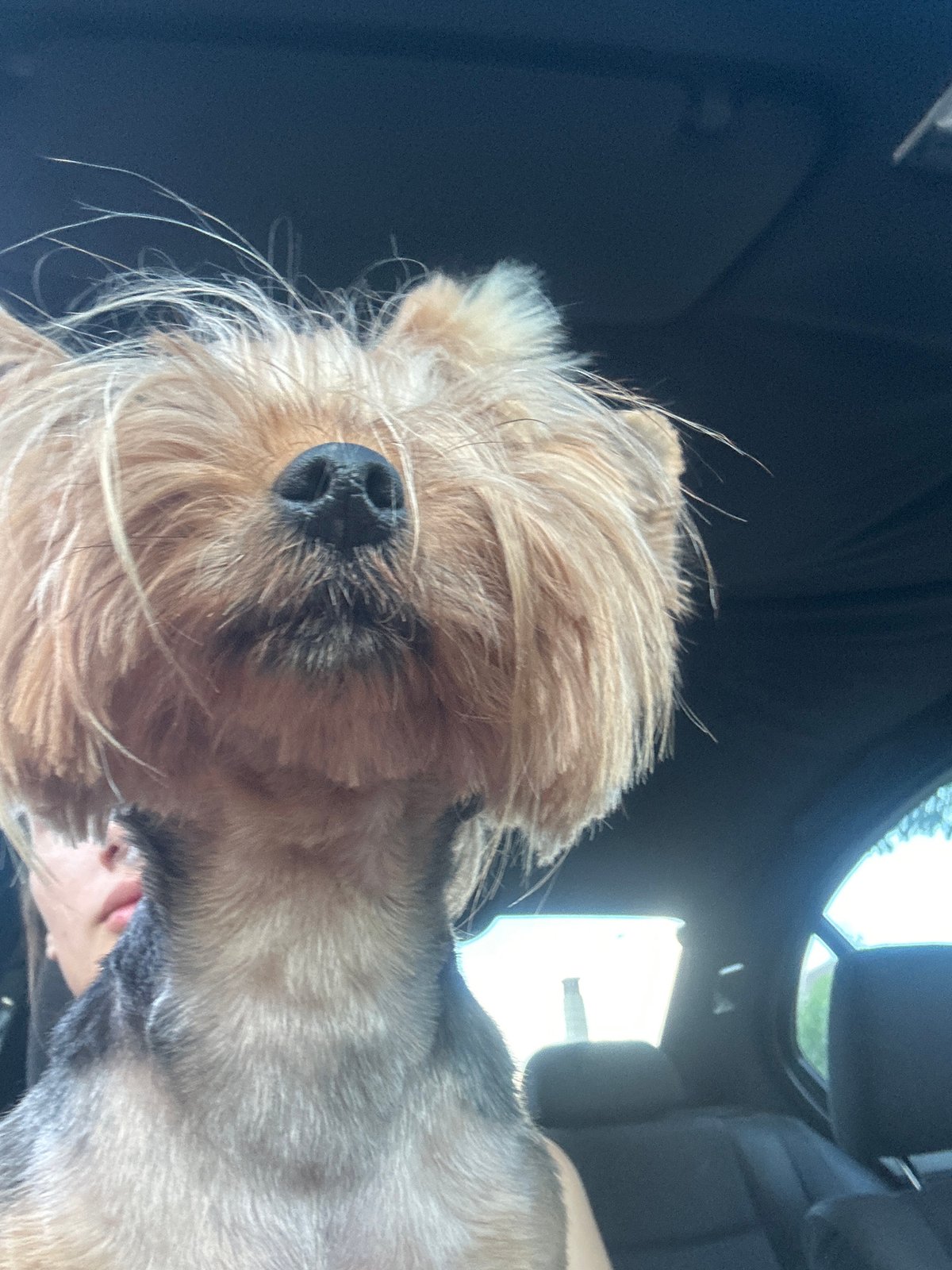 Everyday moments with pets and outdoor games documented in Burgas