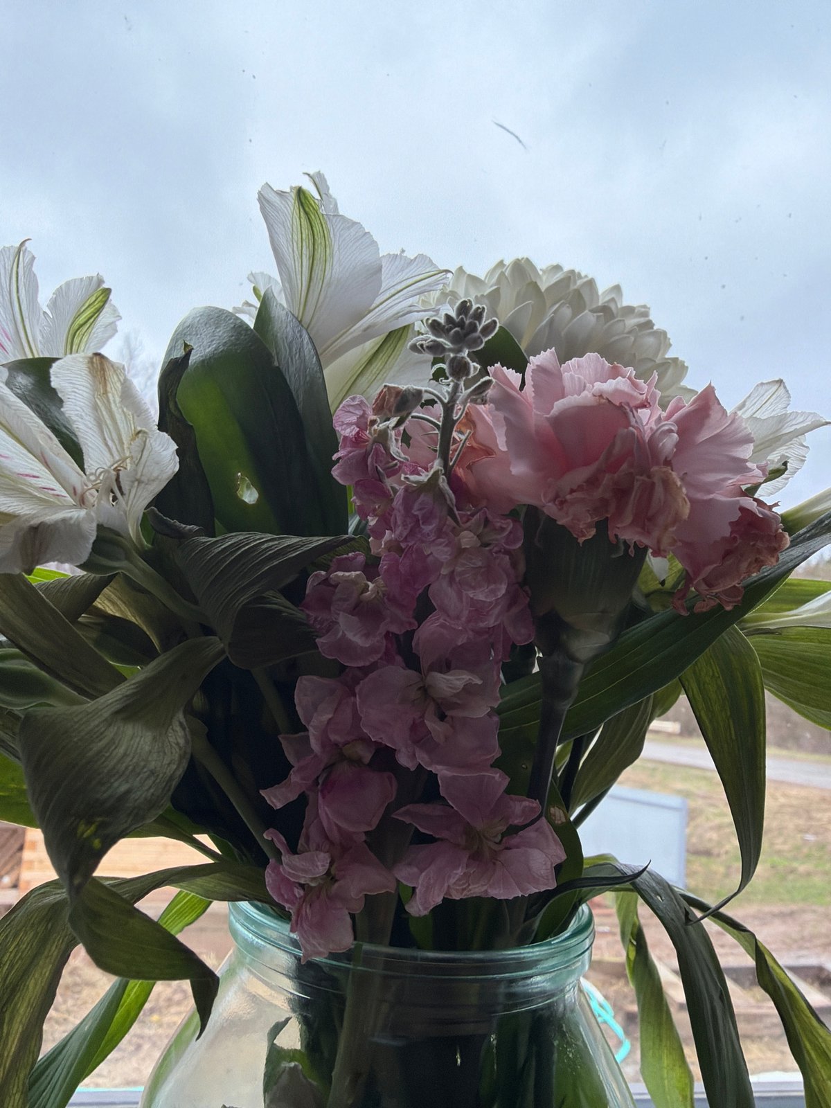 Spring flower arrangement documented in Rusalevka home window