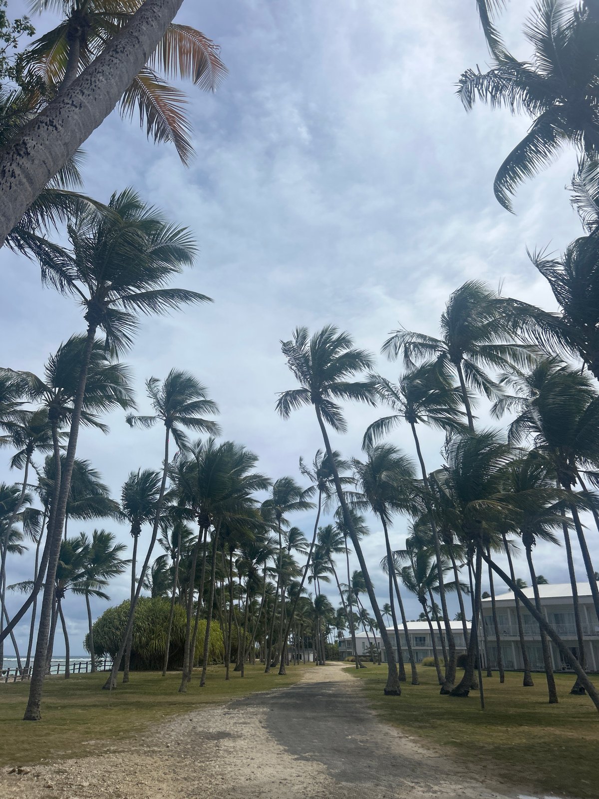 Tourist activities documented along Sainte-Anne beaches and streets