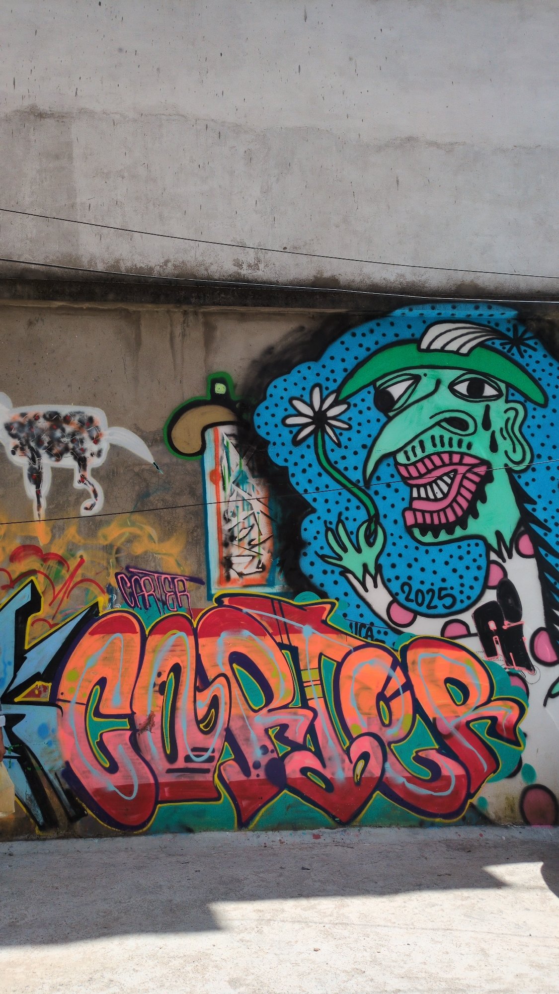 Street art and temple scenes documented in Bhagsu, India