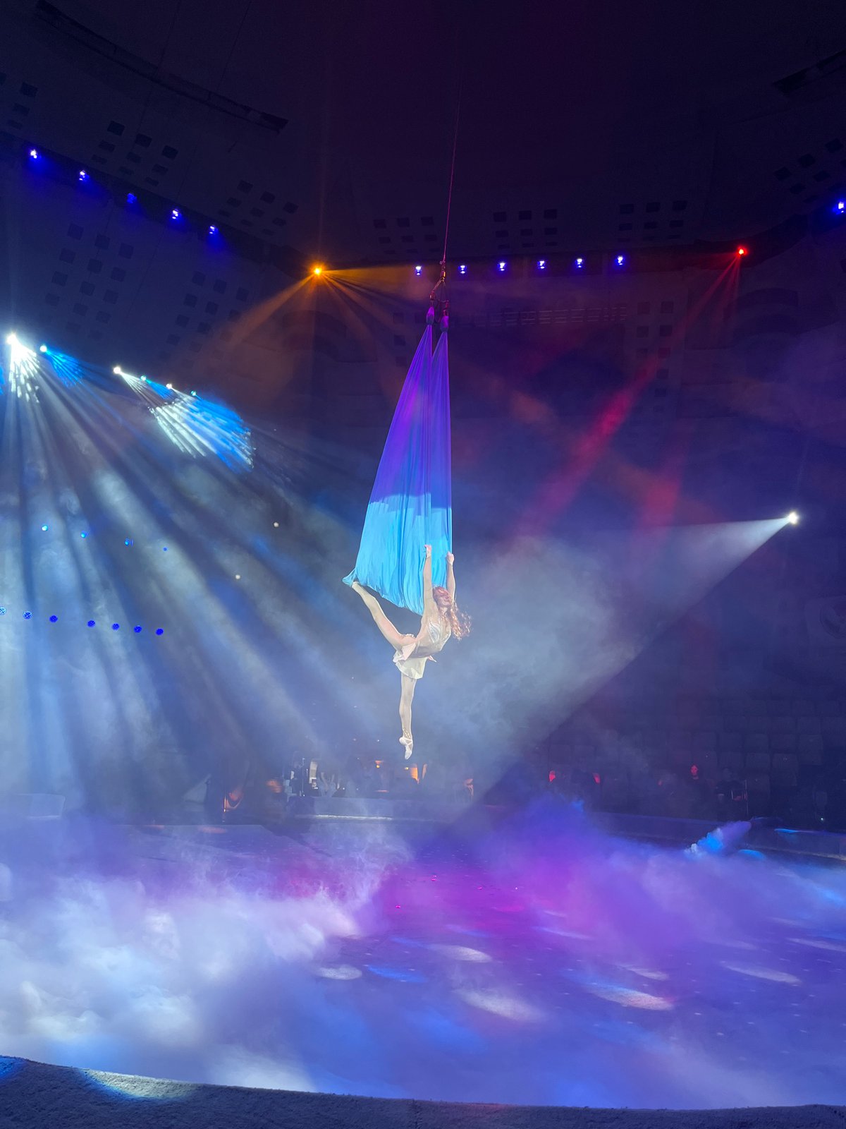 Morning at the Izhevsk State Circus: full show in progress