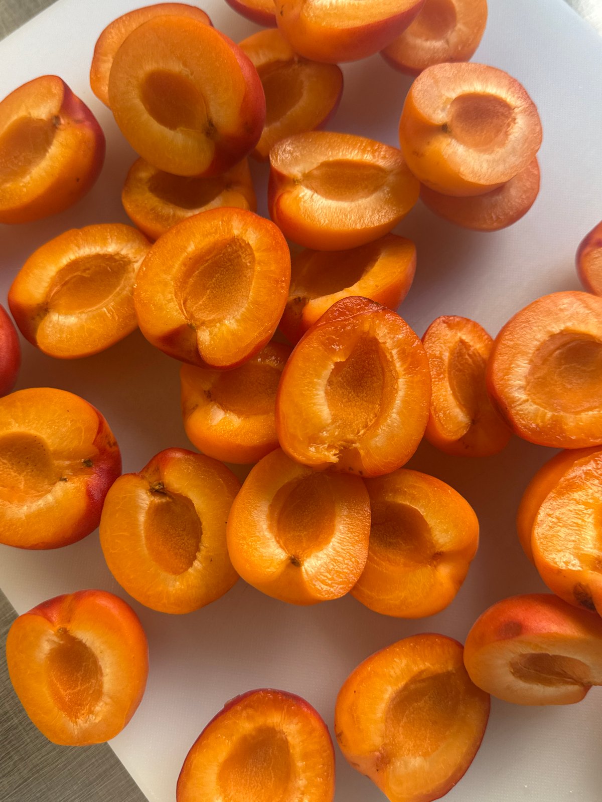 Morning bakery preparation of apricot pastries in Vracar, Serbia