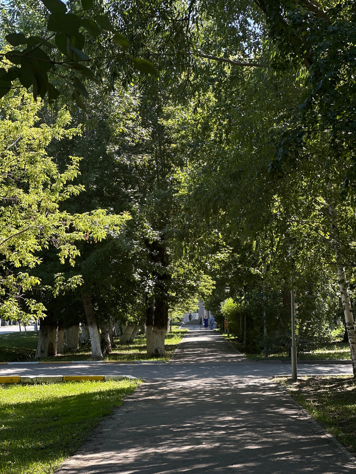 Sunny stroll through a green park with a tiered fountain