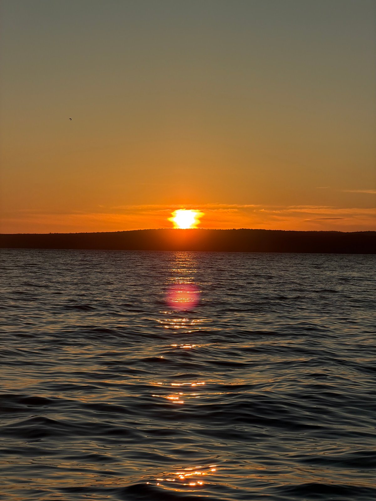 Evening fishing trip and gymnasium activities documented in Chaikovsky