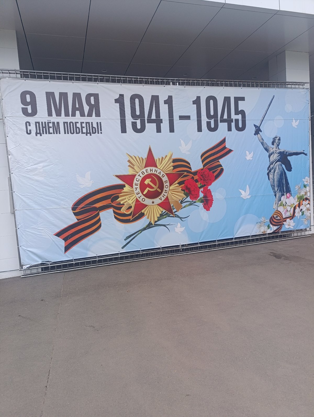 Mixed daily observations span parks, plants, Victory Day displays