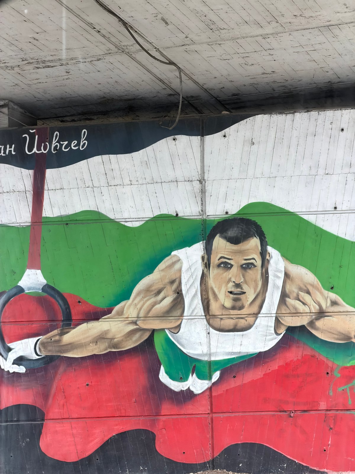 Mixed scenes captured across Sofia: street art, work, politics