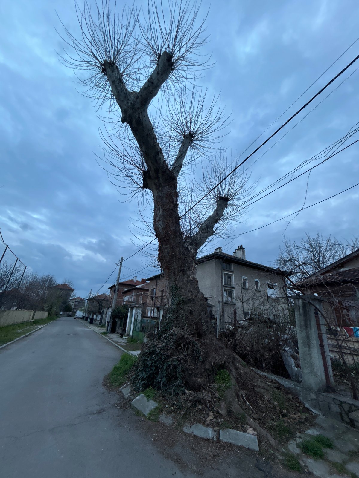 Everyday street scenes and shopping documented in Plovdiv