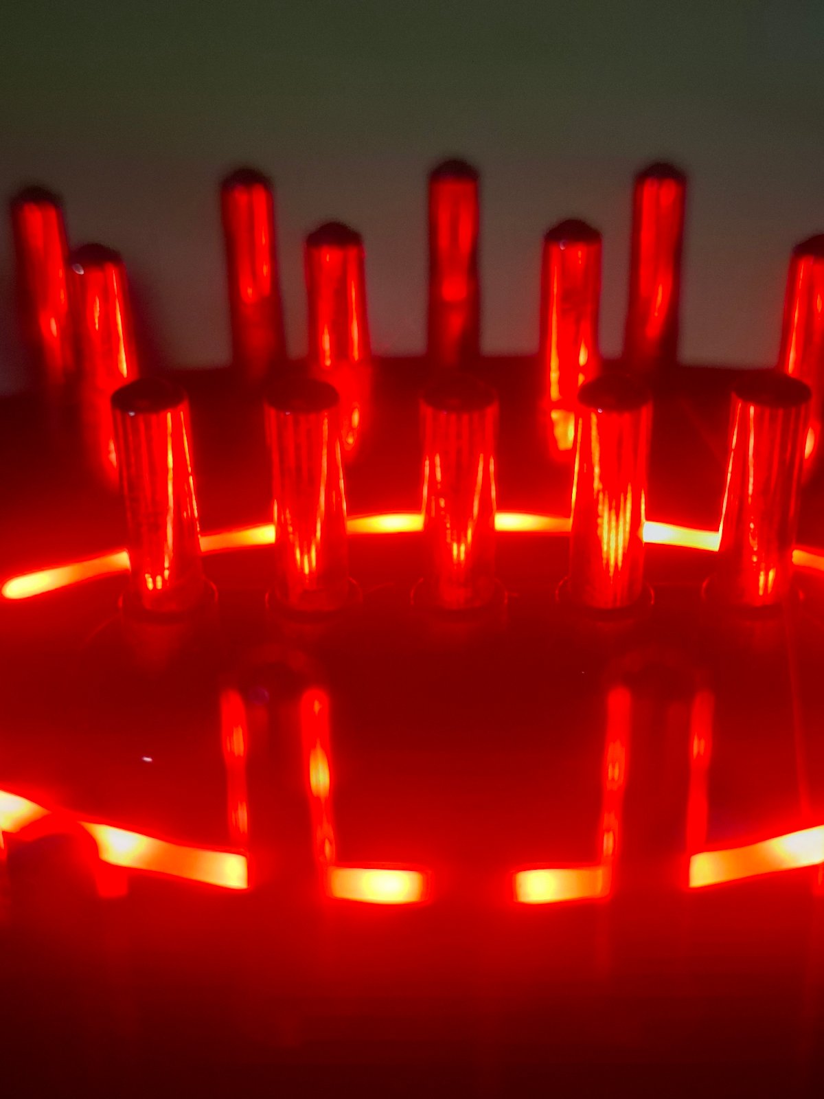 Close-up cat photos and red grid lights documented in Novi Sad