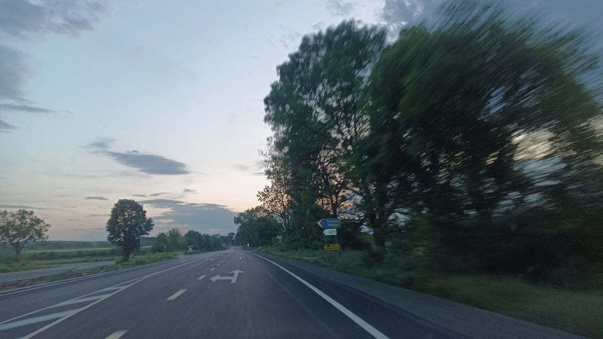 Vehicle travels tree-lined road in Sokolovo, Bulgaria under cloudy skies