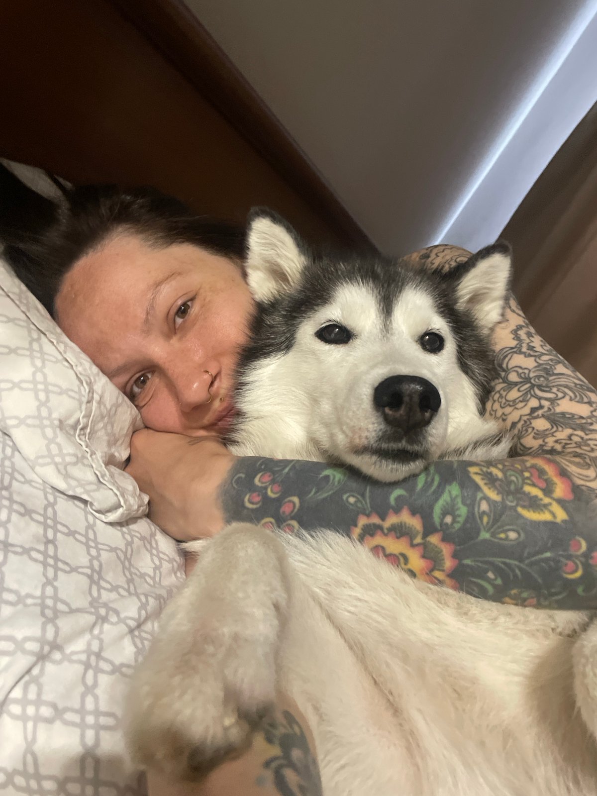 Woman cuddles husky dog on bed in Izhevsk