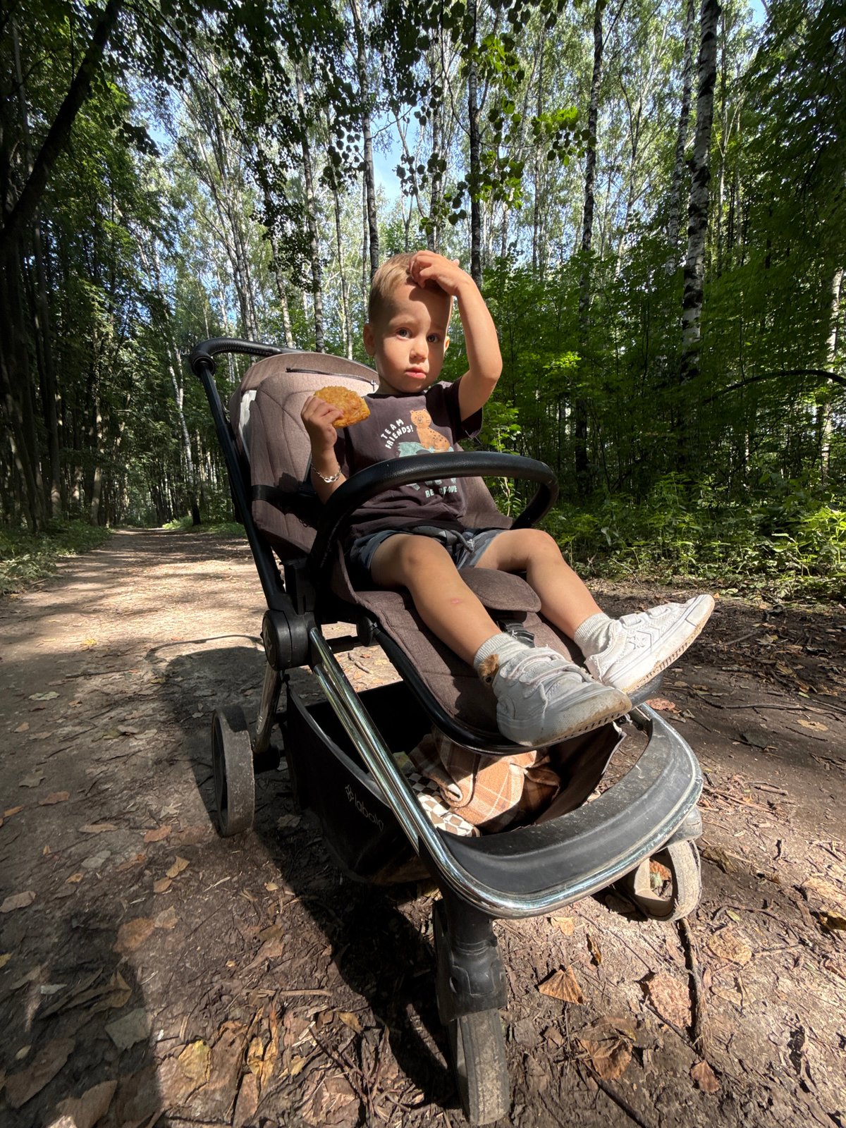 Sunny forest walk with a stroller in Rusanovo, Russia.