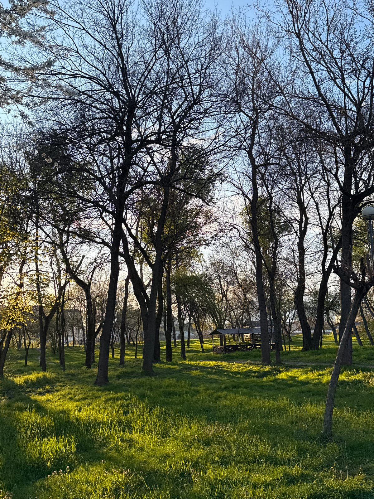 Urban walk captures park, cemetery, church scenes over 27 minutes