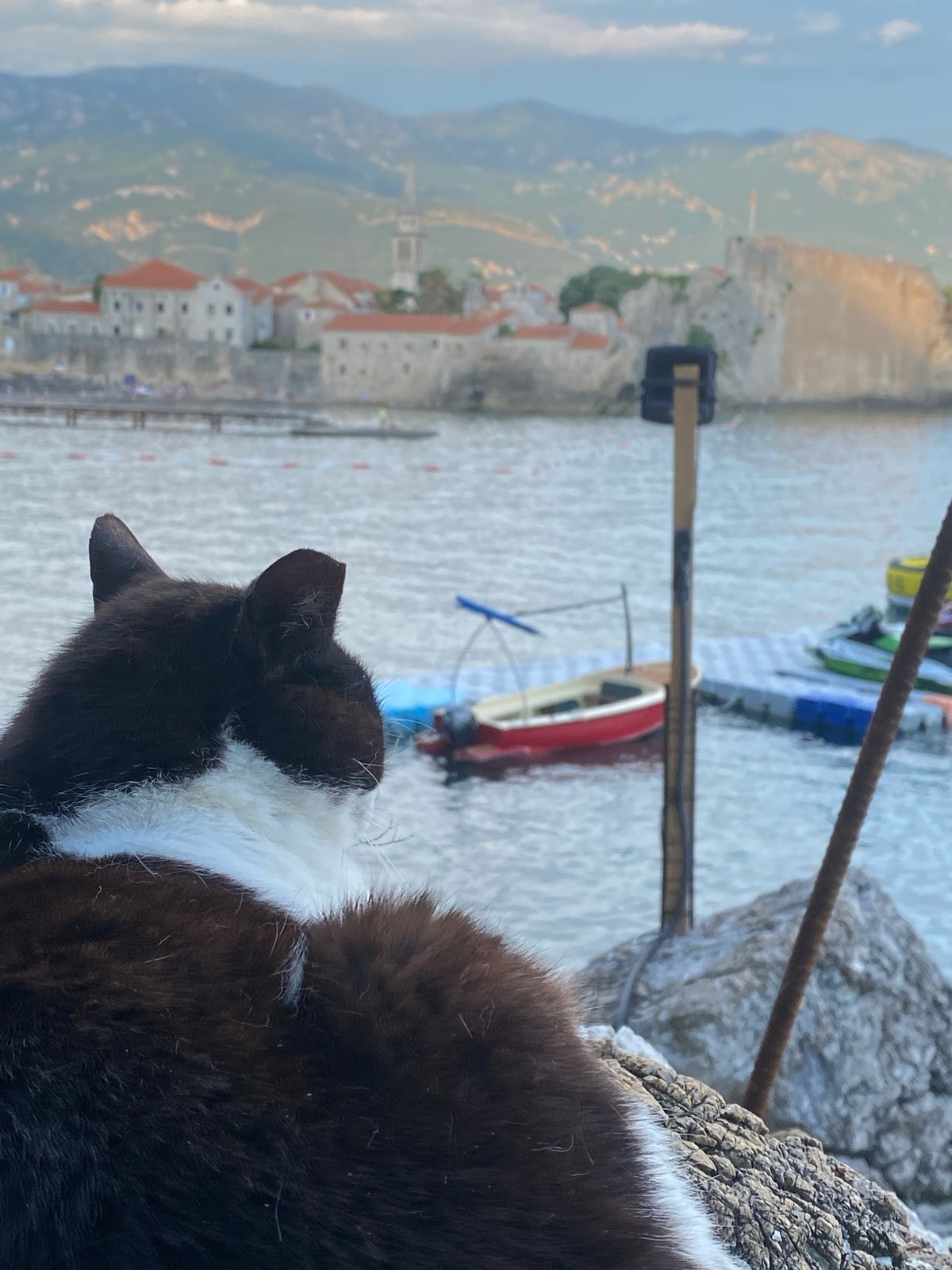 Budva Old Town and waterfront on a busy summer afternoon