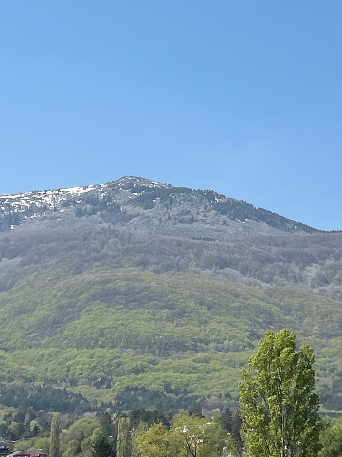 Sofia cityscape and mountain views documented by witnesses