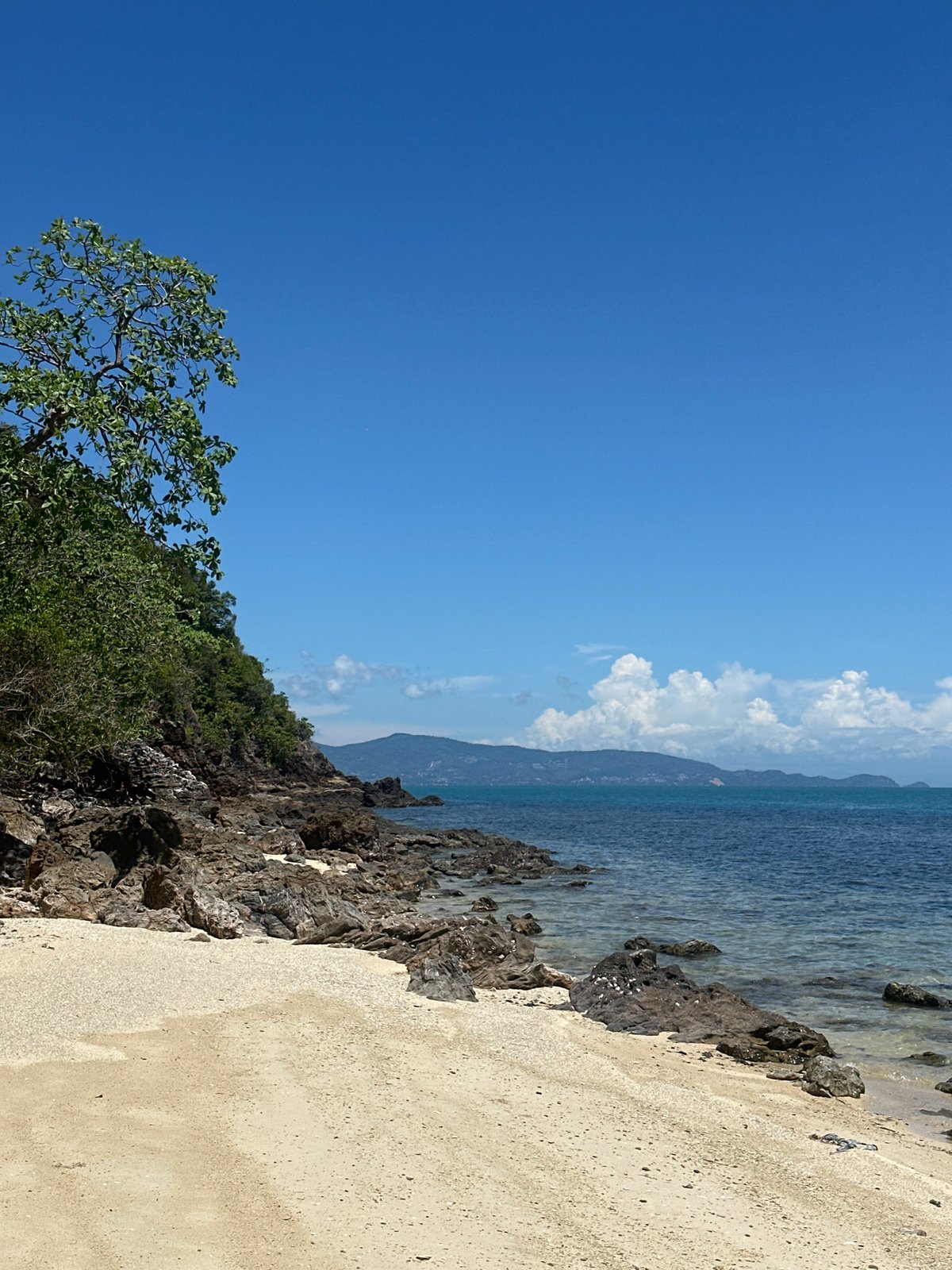 Volunteers collect plastic waste during Koh Phangan beach cleanup
