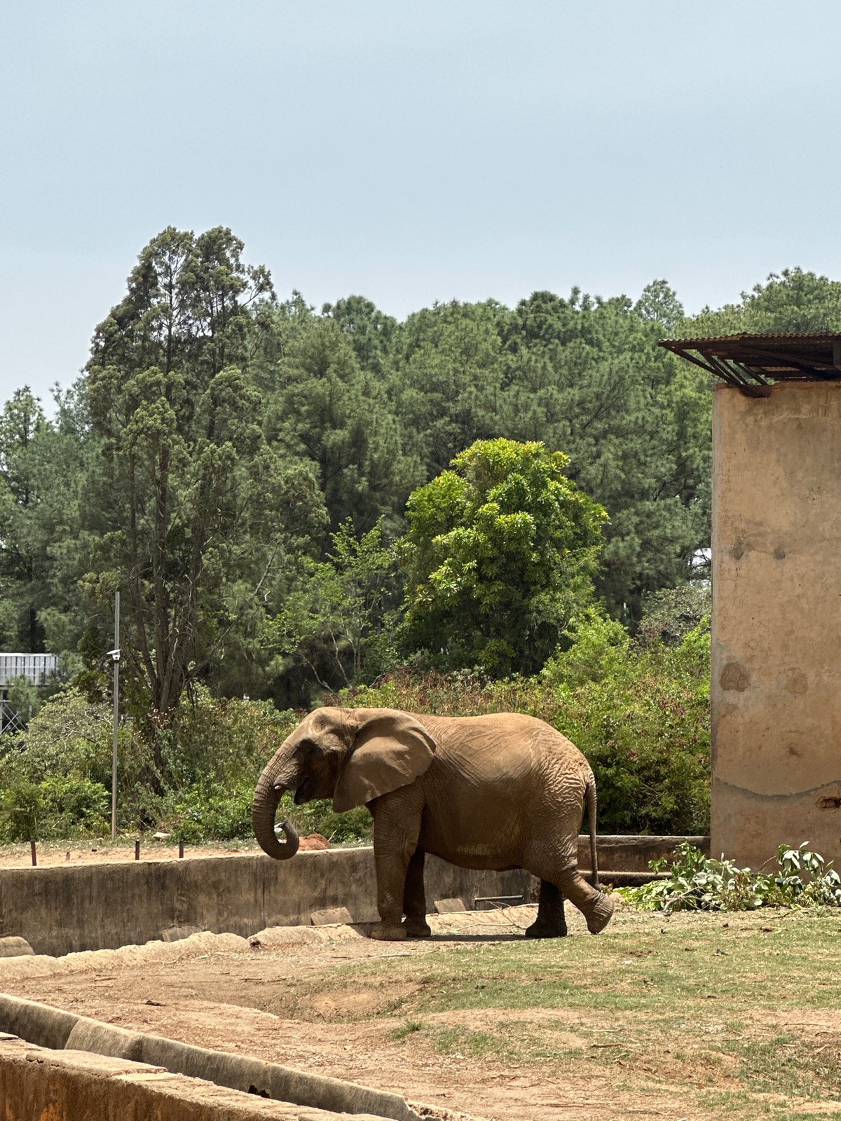 Visitors document animals at Jos wildlife facility during morning visit