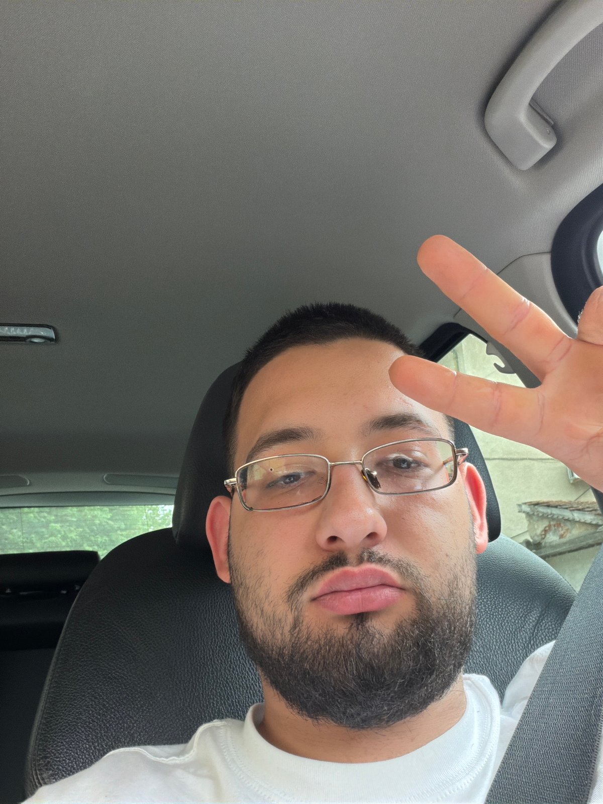 Driver makes peace sign at Pleven stop sign