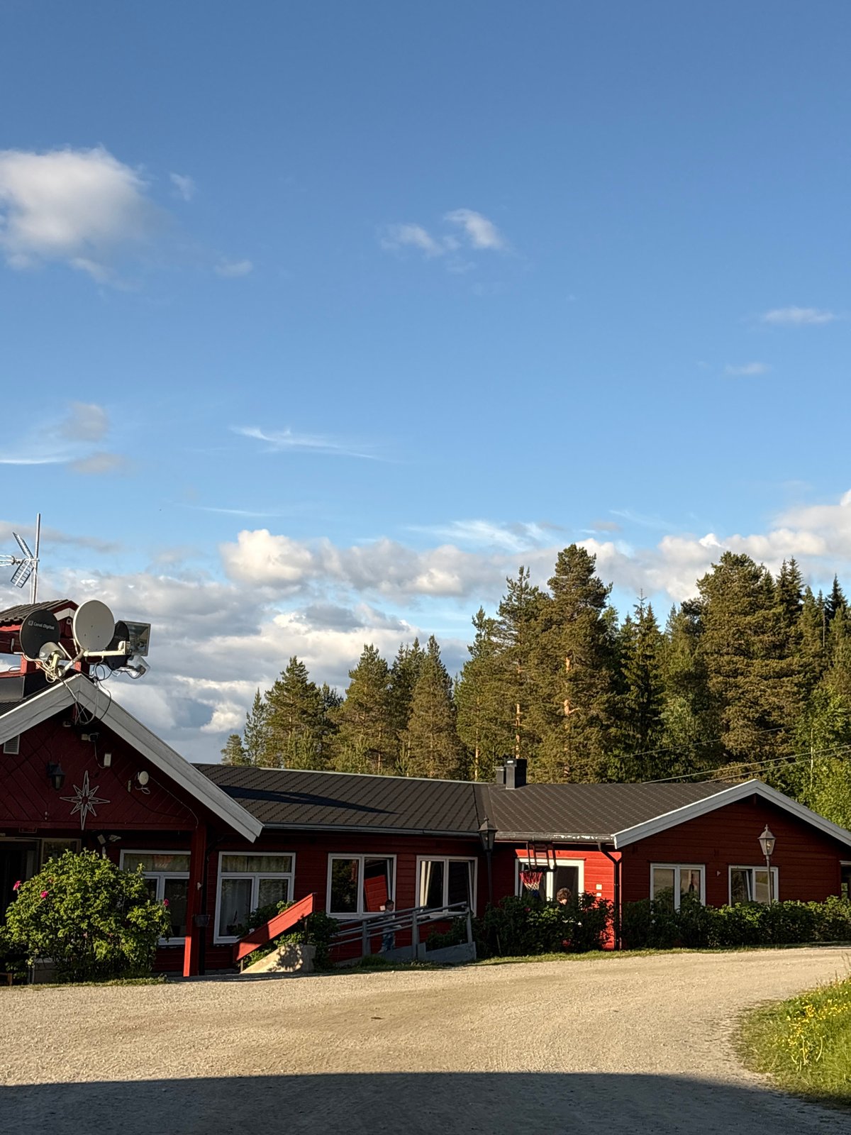 Red cabin nestled in dense evergreen forest on a sunny day