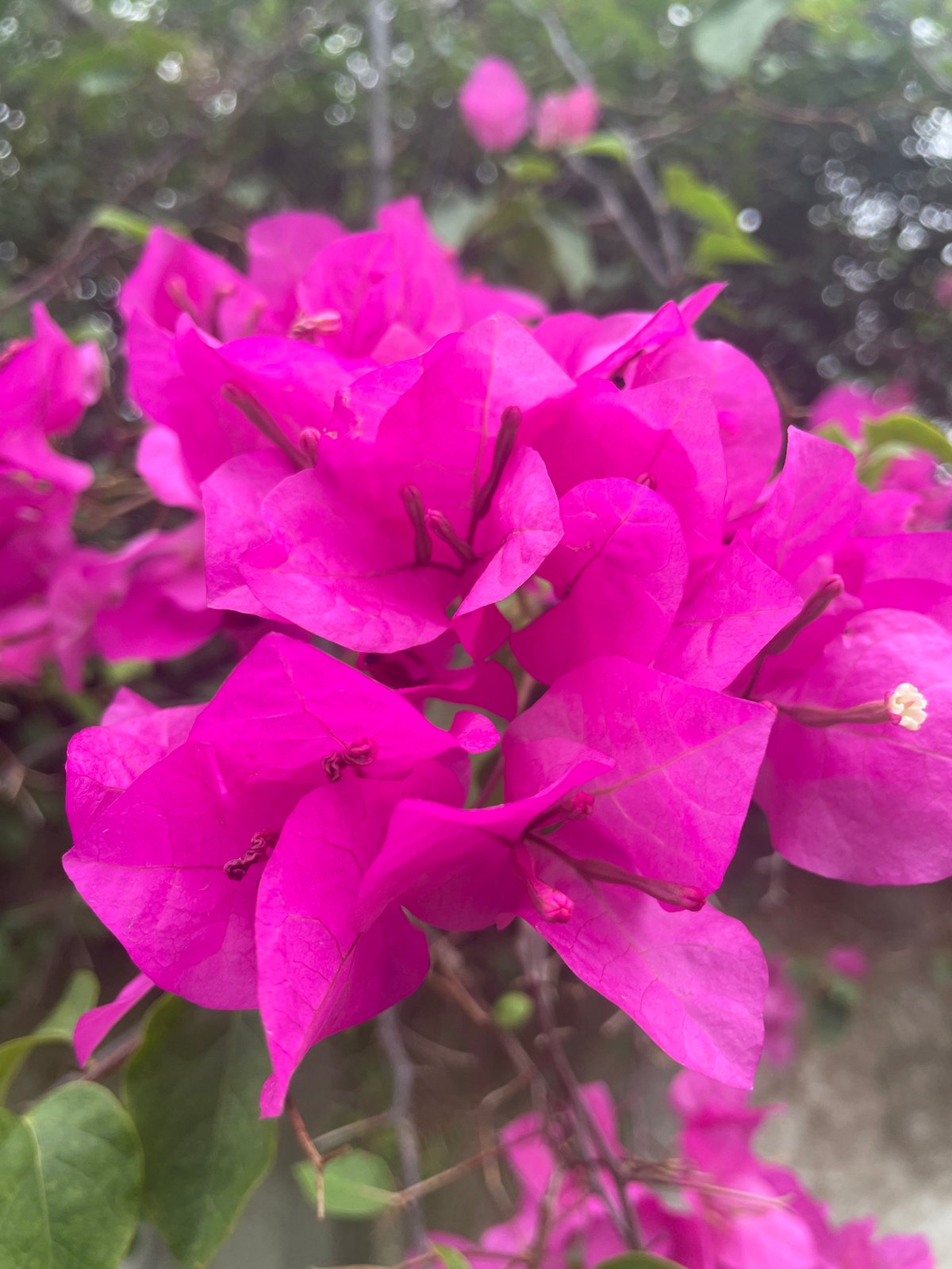 Street scenes and cafe moments across Jos on a cloudy afternoon
