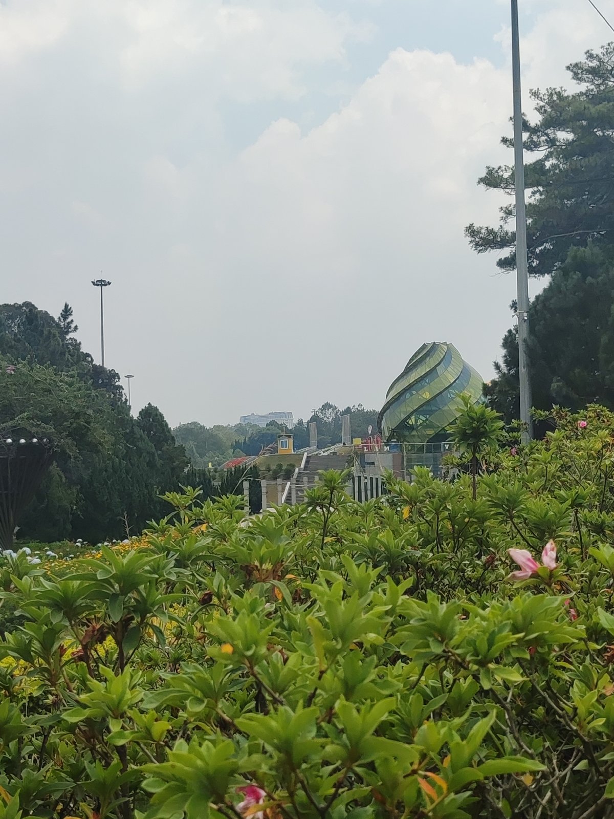 Morning documentation of Da Lat's Artichoke building and flowering gardens