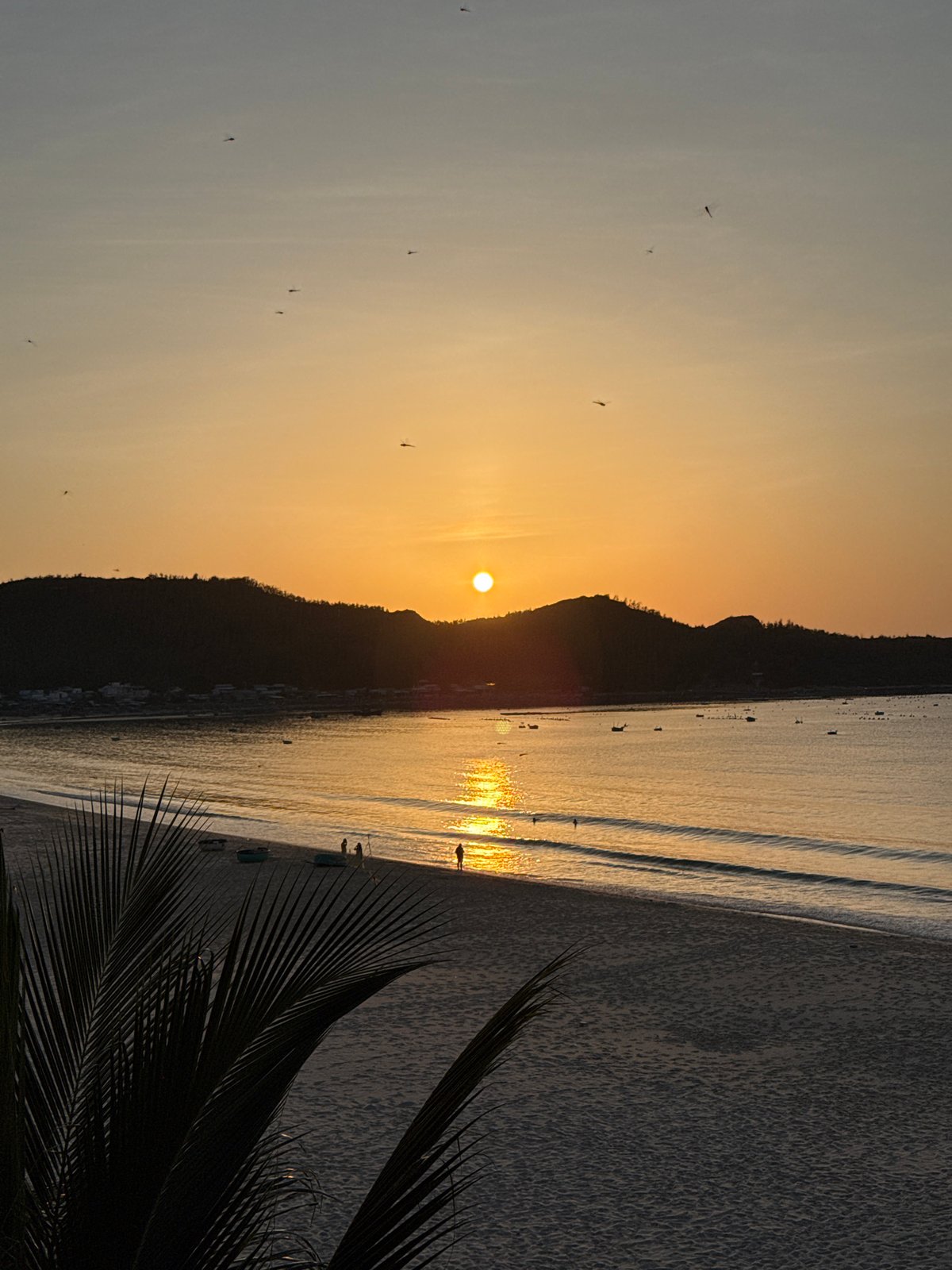 Golden hour on the quiet beaches of Song Cau, Vietnam