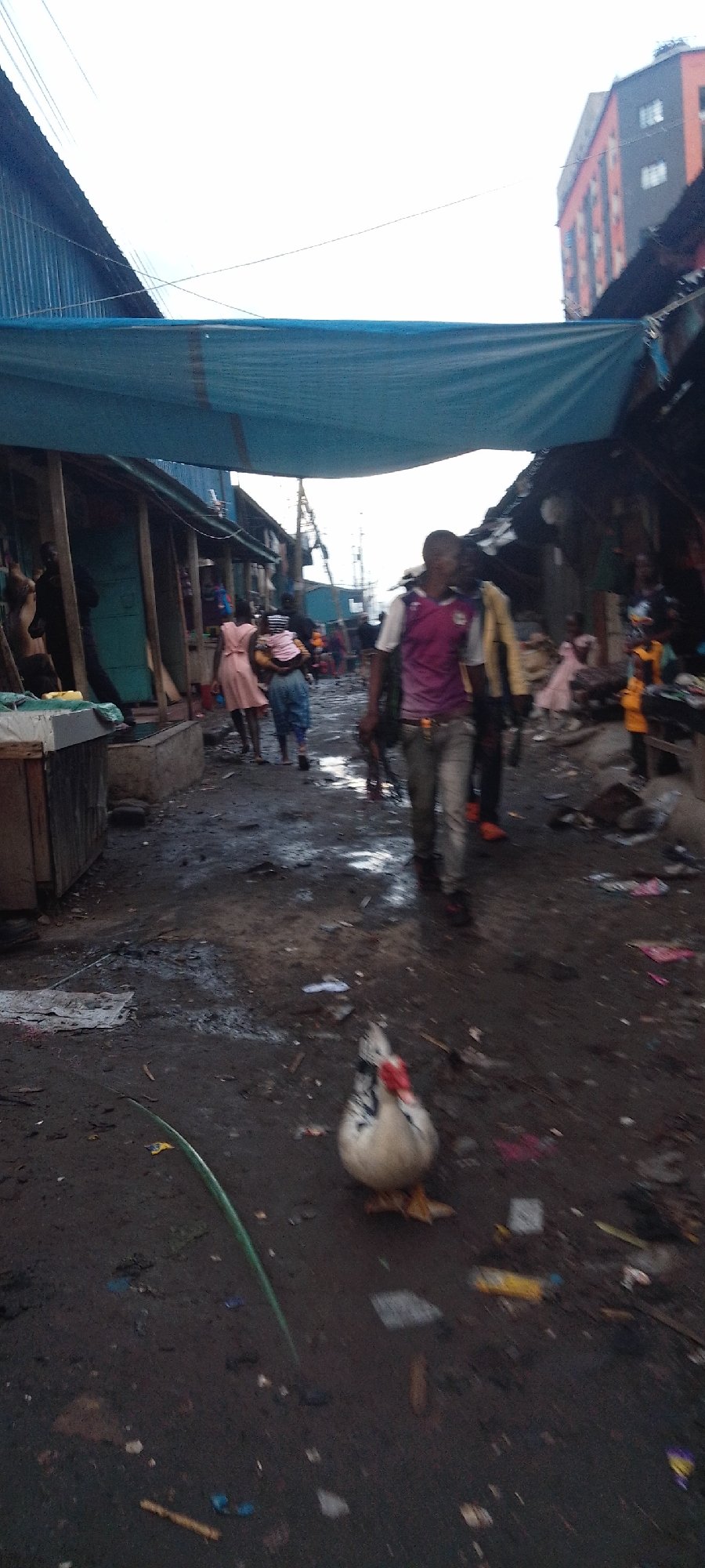 Daily life documented in muddy Nairobi informal settlement streets
