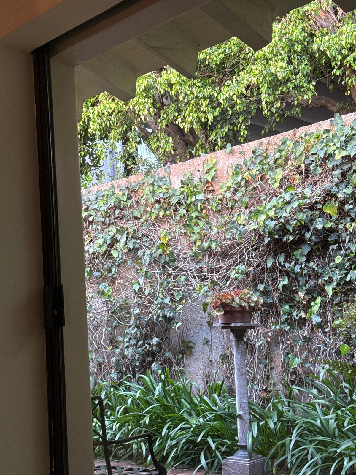 Window view captures lush garden scene in Mexico City