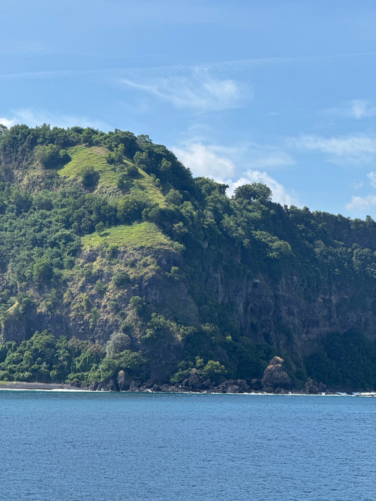 Indonesian coastal landscape with terraced vegetation documented by witness